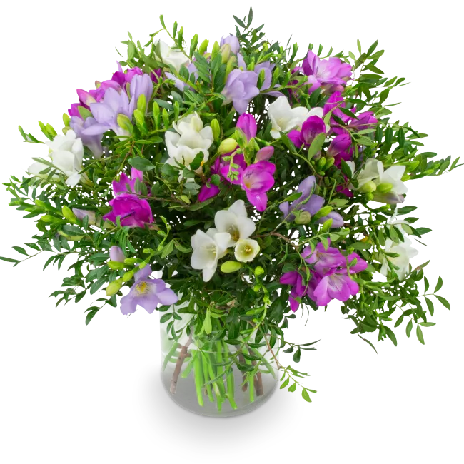 bouquet of freesia